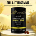 gid://shopify/MediaImage/54801050534235